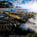 하늘계단 이미지