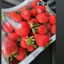 재구농장 이미지