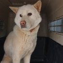 윤보선로 이미지