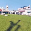 썸바디 독스 이미지