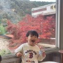 예닮몬테소리유치원 이미지