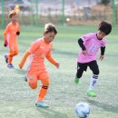 삼척복합체육공원 야구장 이미지