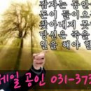 알고신 이미지