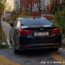 주정차 단속 - 041 이미지