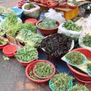 양양전통시장 이미지