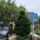 복돌네민박 이미지