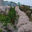 신창면 순천향로 이미지