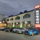 돼지한마리 이미지