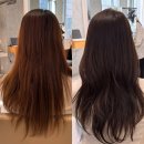 서초동 미용실 차홍룸 강남대로점 애쉬브라운 여자 긴머리 톤다운염색 후기(전현경 쌤)