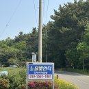 태안펜션/태안숙소/태안조개잡이펜션/태안가성비펜션/태안가족여행펜션/태안노을빛언덕펜션/내돈내산후기