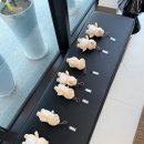 스테이태봉 이미지