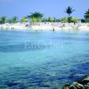 오리나라 이미지