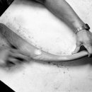 코코미술학원 이미지