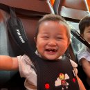 에덴어린이집 | 어린이집 양치컵(스텐 양치컵) 아토에덴 예쁘고 튼튼해요