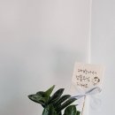 행운동-35 이미지