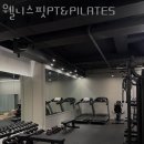 웰니스핏 이미지