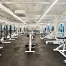 프로 짐 이미지