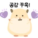 펀펀케이크