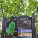 억새초원 여름풍경 / 정선 민둥산 트레킹 2024.6.20(목) 이미지