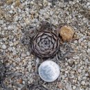 한주농장 이미지