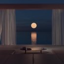 자연속의 집 이미지