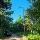 목상동 솔밭길 | 도심 속 계곡 방문기