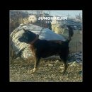 바우 - 마포구 와우산로29라길 7 | 바우