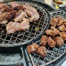 신마포갈매기제주 - 제주시 신성로13길 31 | 신마포갈매기제주