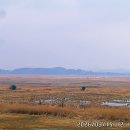 대부바다향기 테마파크 이미지
