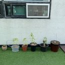 삼대째손두부 이미지