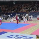 연제태권도 이미지