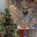 멍티스트 이미지