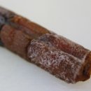 곶감호랑이 이미지