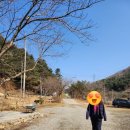 장어독립 | 서울 근교 주말 맛집 가평 드라이브겸 건강한 파김치 장어전골 장어 독립 가평설악본점 후기