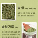솔잎