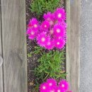 동구릉로 이미지