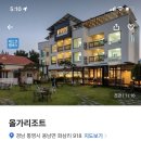 올가리조트 이미지