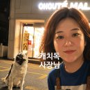 캐치독 | 광주 반려견 산책 교육 캐치독 이용 후기(가정방문 펫시터)
