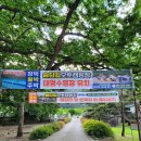 솔담길 오토 캠핑장 이미지