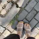 티트리 세럼 무좀 후기