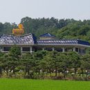 생오리마당 이미지