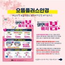 으뜸플러스 역삼점 이미지