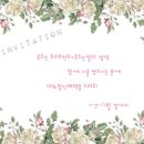 로즈-인 네이버블로그