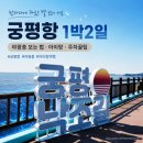 궁평리어촌체험휴양마을 | 궁평항 1박2일 여행코스 야광충 아이랑 주차 숙소 반려견 가이드