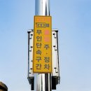 주정차단속-100 이미지