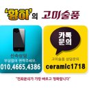 중국도자기 대청강희년제 거인당제 분채동자문 감람병