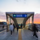 밤비노(소규모) 이미지