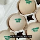 이영란농장 이미지