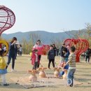 산수유꽃길로 이미지