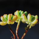 협성대학교 일반대학원 이미지